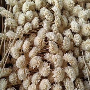 Wholesale 3mm Wooden Fiber Sticks Essential Oil Diffuser Fiber Sticks