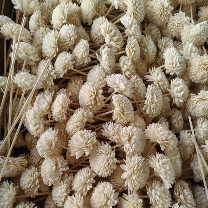 product image Wholesale 3mm Wooden Fiber Sticks Essential Oil Diffuser Fiber Sticks SK-DSK03